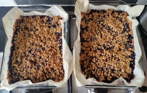 blueberry crumble bars.jpg