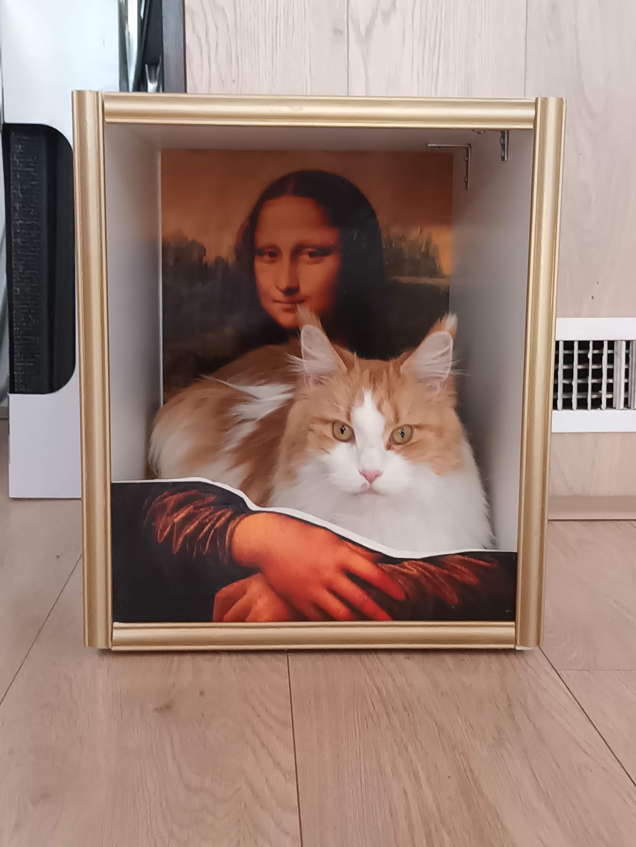 Arty cat boxes – Adventures of a Cat Lady